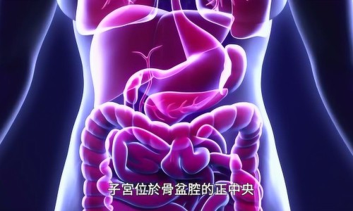 复方鲜石斛颗粒生产厂家网 | 复方鲜石斛颗粒四大特点,复方鲜石斛颗粒生产厂家在哪里