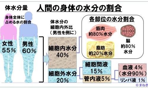 复方鲜石斛颗粒的价格-复方鲜石斛颗粒生产厂家网 | 复方鲜石斛颗粒四大特点,复方鲜石斛颗粒生产厂家在哪里
